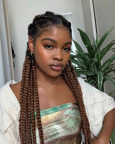 15 Box Braid Hairstyle Ideas to Switch Up Your Look