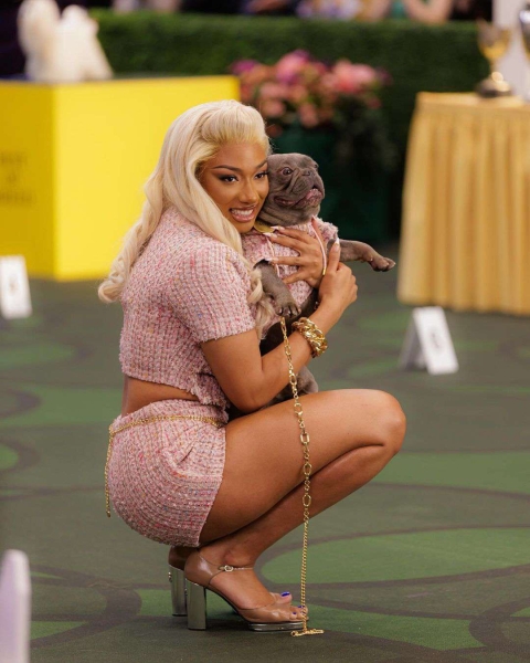 Megan Thee Stallion Just Brought Back the Millennial "Pouf"