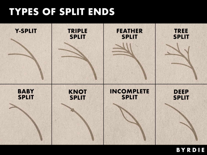 Split Ends Can Hinder Your Hair Goals—Here's How to Identify and Avoid Them